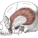 Illustration for article titled Are You a Nighttime Tooth Grinder? Here's How To Tell—And What to Do About It